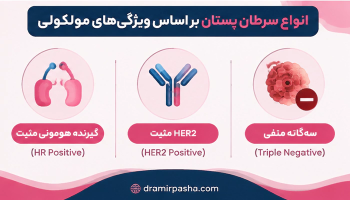 اینفوگرافیک از انواع سرطان پستان بر اساس ویژگی مولکولی